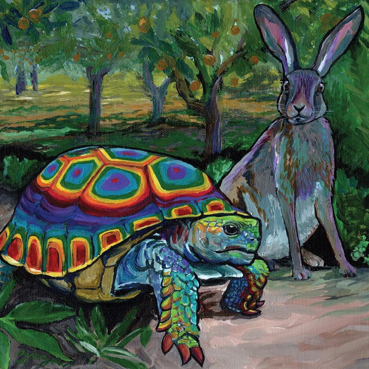 The Tortoise And The Hare