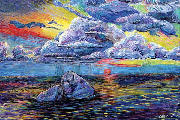 Amanda Zirzow: Manatees At Sunset by Amanda Zirzow