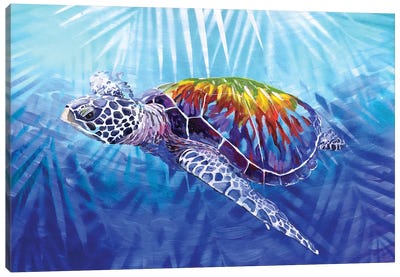 Tropical Sea Turtle Canvas Art Print - Amanda Zirzow