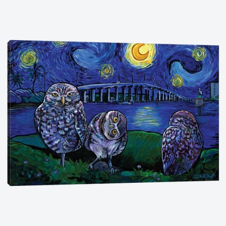 Burrowing Owls In The Starry Night Canvas Print #AZW4} by Amanda Zirzow Canvas Art Print