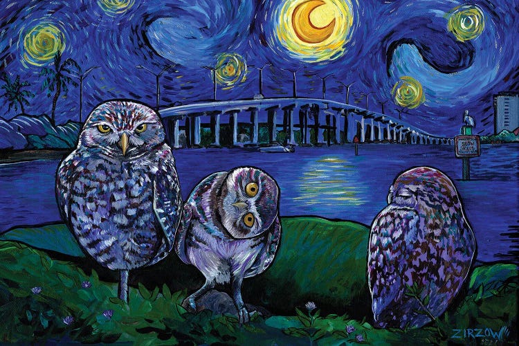 Burrowing Owls In The Starry Night