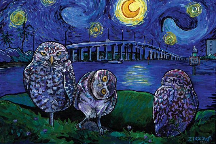 Burrowing Owls In The Starry Night by Amanda Zirzow wall art