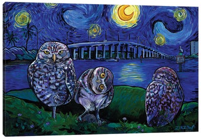 Burrowing Owls In The Starry Night Canvas Art Print - Owl Art