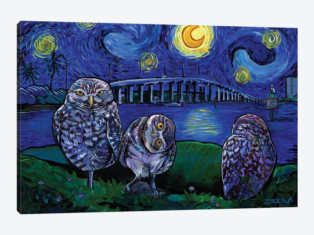 Burrowing Owls In The Starry Night by Amanda Zirzow 1-piece Canvas Art Print