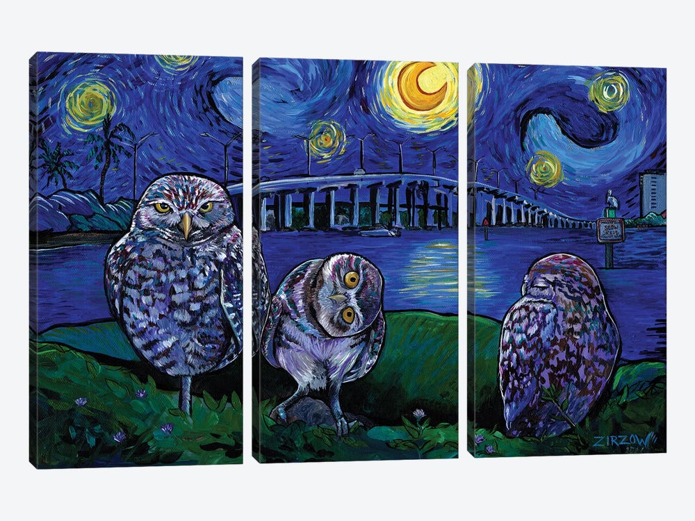 Burrowing Owls In The Starry Night by Amanda Zirzow 3-piece Canvas Print