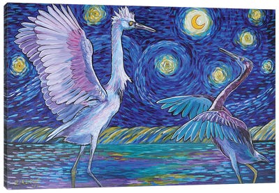 Dancing With The Stars Canvas Art Print - Amanda Zirzow