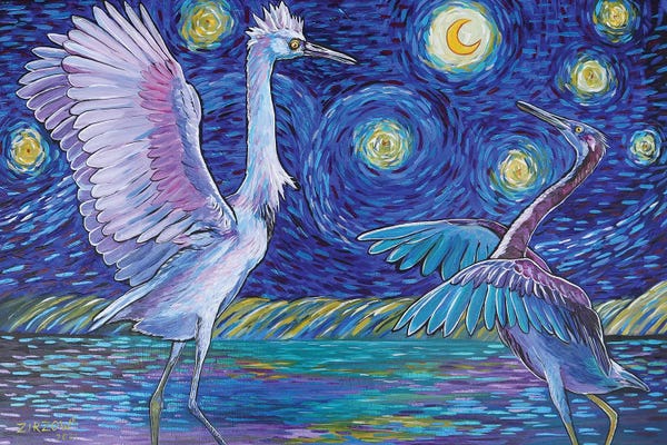 Amanda Zirzow: Dancing With The Stars by Amanda Zirzow