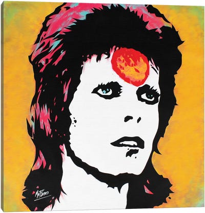 David Bowie: Ziggy Stardust Canvas Art Print