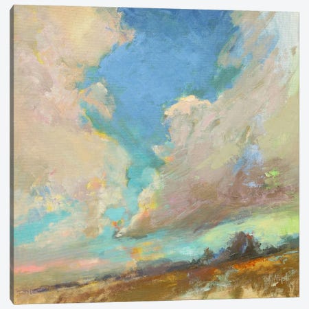 Clouds Got In My Way Canvas Print #BAF1} by Beth A. Forst Art Print
