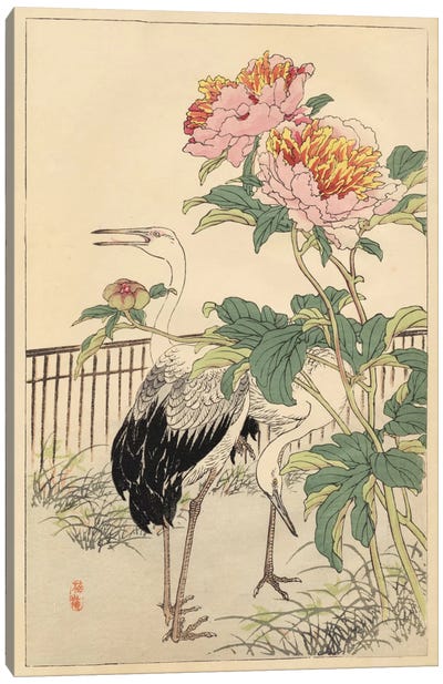 Crane And Peony Canvas Art Print - Heron Art