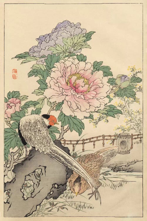 Pheasant And Peony