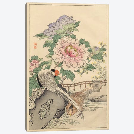 Pheasant And Peony Canvas Print #BAI2} by Bairei Canvas Artwork
