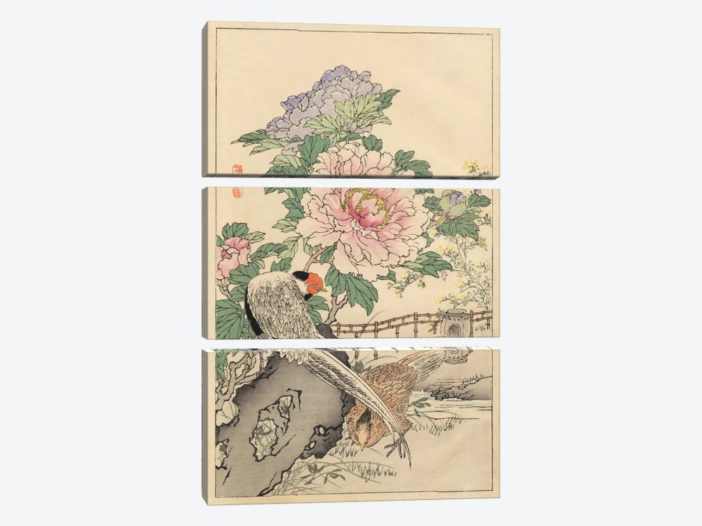 Pheasant And Peony by Bairei 3-piece Art Print