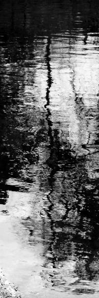Large Black & White Art - Canvas Prints: Reflecting Triptych II by Michael Barrett