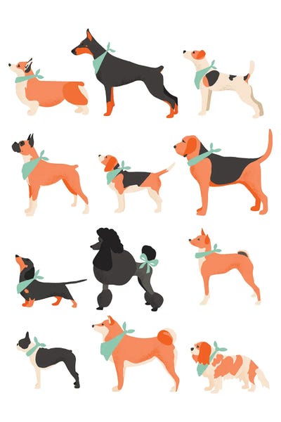 Animal Patterns: Dog Chart by The Beau Studio