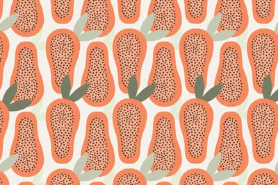 Papaya Pattern by The Beau Studio framed canvas print
