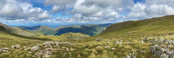 Noah Bay: Greenscape by Noah Bay