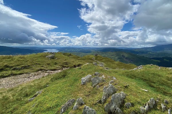 Noah Bay: Highland Path panel by Noah Bay