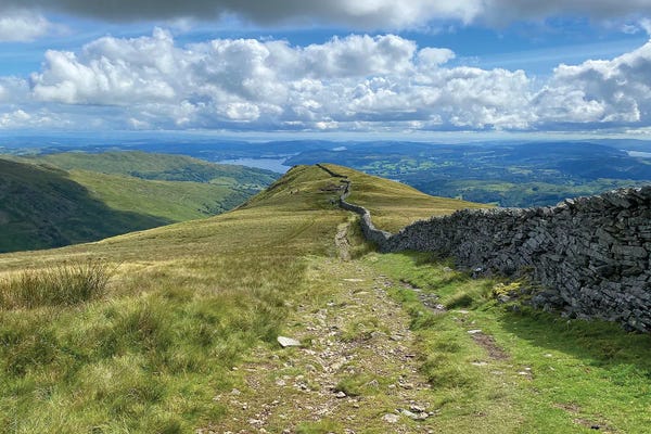 Noah Bay: Looking Ahead by Noah Bay