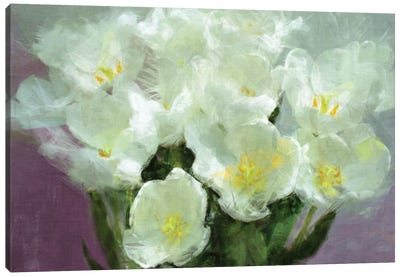 Sunlit Tulips Canvas Art Print