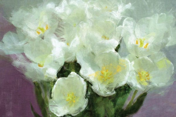 Noah Bay: Sunlit Tulips by Noah Bay