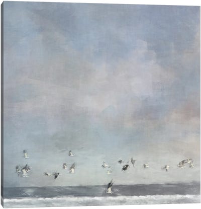 Birds Passing Canvas Art Print