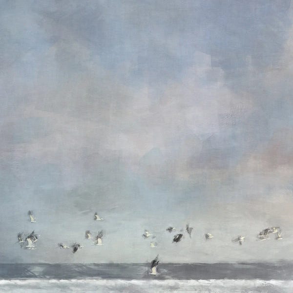 Noah Bay: Birds Passing by Noah Bay