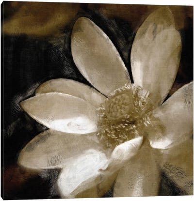 Bronze Lily Canvas Art Print - Lily Art