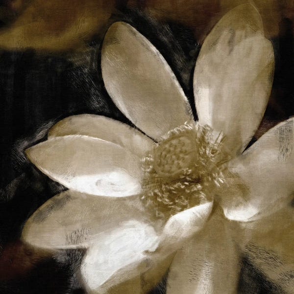 Noah Bay: Bronze Lily by Noah Bay