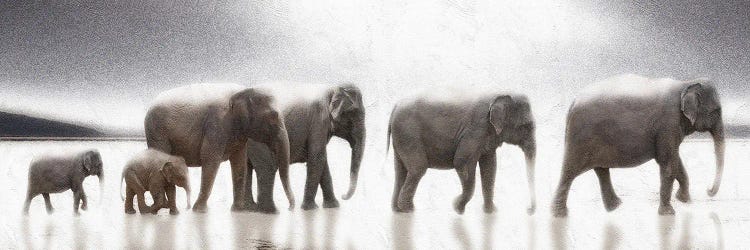 Elephant Mirage by Noah Bay wall art