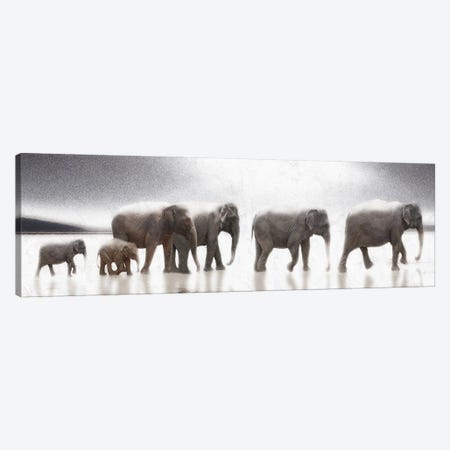 Elephant Mirage Canvas Print #BAY9} by Noah Bay Canvas Print