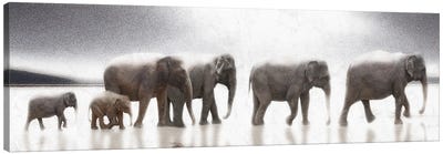 Elephant Mirage Canvas Art Print