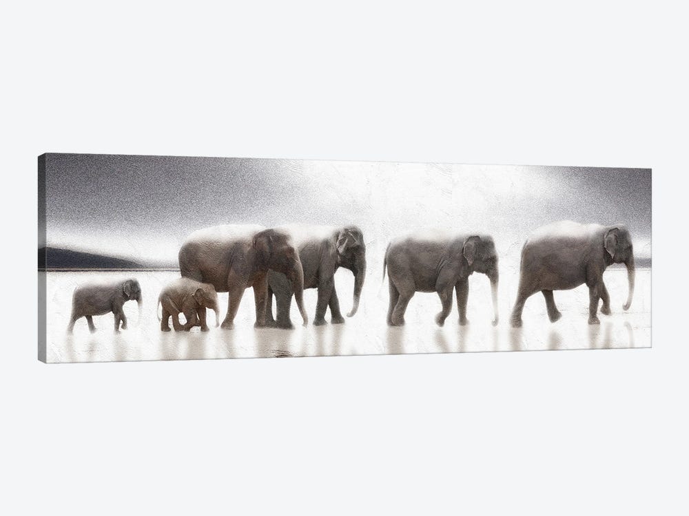 Elephant Mirage by Noah Bay 1-piece Canvas Art