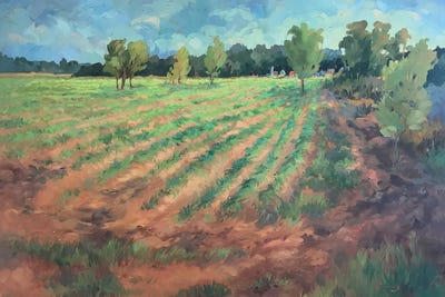 Barbara Cleary - Canvas Prints: Early Morning by Barbara Cleary