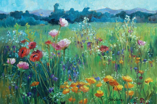 Field Of Poppies