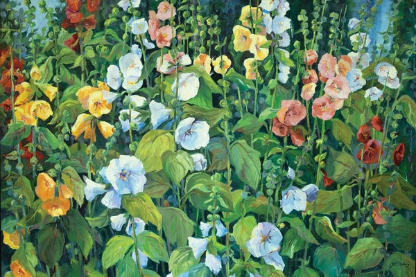Hollyhocks