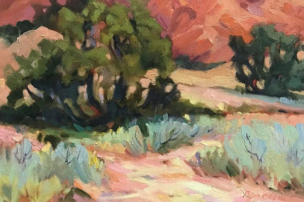 New Mexico: Mesa At Ghost Ranch by Barbara Cleary