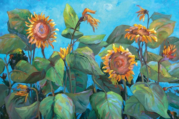 Sunflowers II