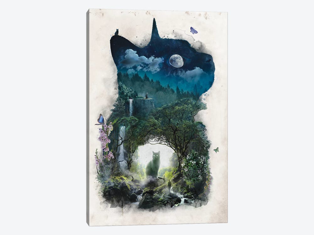 The Realm Of Cats by Barrett Biggers 1-piece Canvas Art Print
