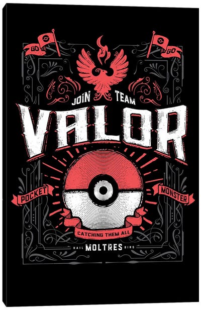 Valor Canvas Art Print - Pokémon