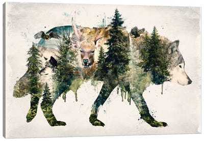 Walk With Wolves Canvas Art Print - Wilderness Art
