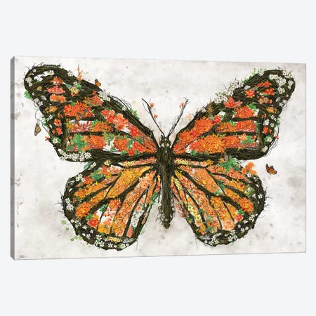 Monarch Butterfly Canvas Print #BBI118} by Barrett Biggers Canvas Art