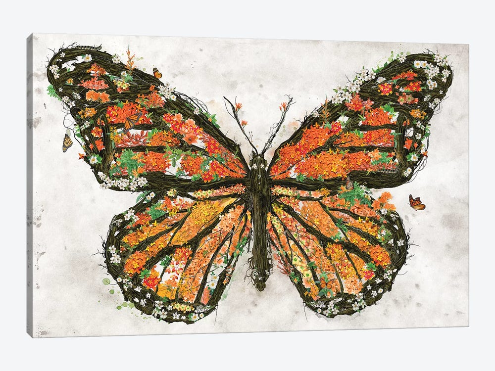Monarch Butterfly by Barrett Biggers 1-piece Canvas Artwork