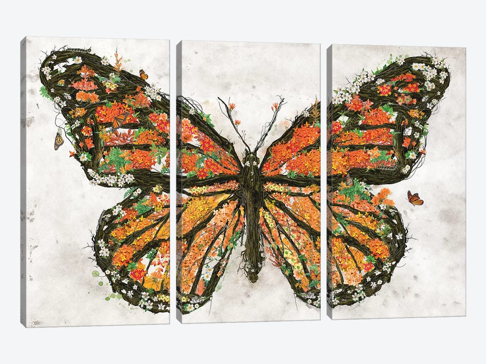 Monarch Butterfly by Barrett Biggers 3-piece Canvas Artwork