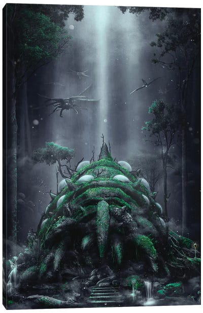 The Fungus Forest Canvas Art Print - Barrett Biggers