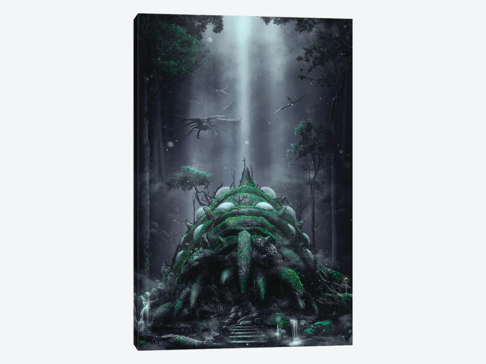 The Fungus Forest by Barrett Biggers 1-piece Canvas Art