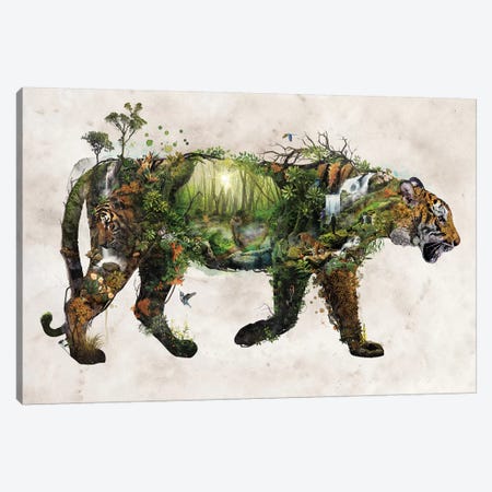 Surreal Tiger Canvas Print #BBI123} by Barrett Biggers Canvas Art Print
