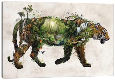 Surreal Tiger Canvas Art Print - Barrett Biggers