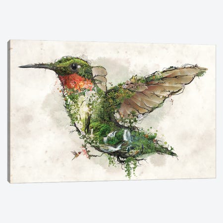 Ruby Throated Hummingbird Canvas Print #BBI125} by Barrett Biggers Canvas Artwork
