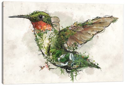 Ruby Throated Hummingbird Canvas Art Print
